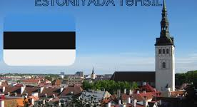 estoniyada magistr tehsili
